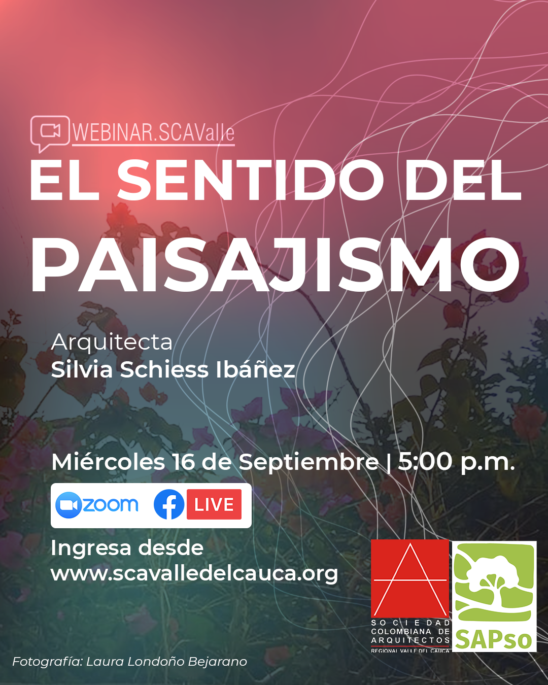 Webinar EL SENTIDO DEL PAISAJISMO